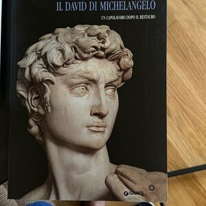 IL DAVID DI MICHAELANGELO, book in Italian